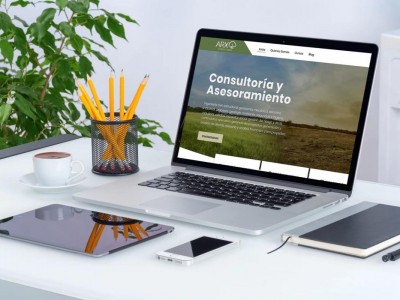 DiseÃ±o Web a Medida para Consultora